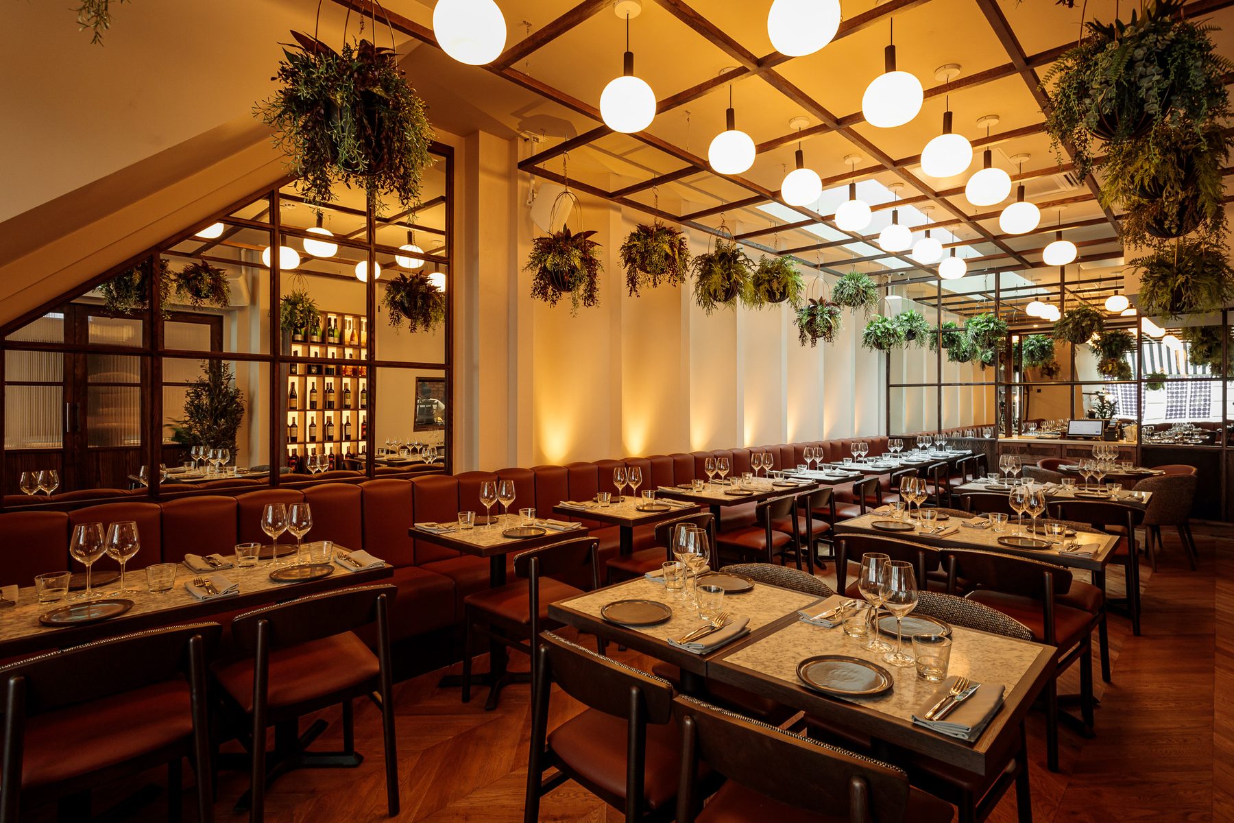 Sunday in Brooklyn, James Street. Warmly lit dining room with hanging plants and tan banquette seating.